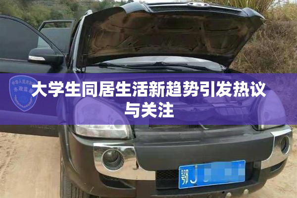 大学生同居生活新趋势引发热议与关注