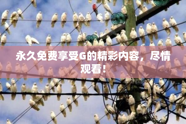 永久免费享受G的精彩内容，尽情观看！