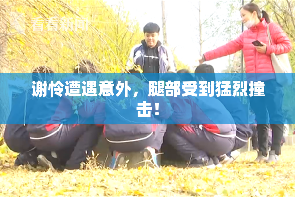 谢怜遭遇意外，腿部受到猛烈撞击！