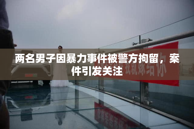 两名男子因暴力事件被警方拘留，案件引发关注