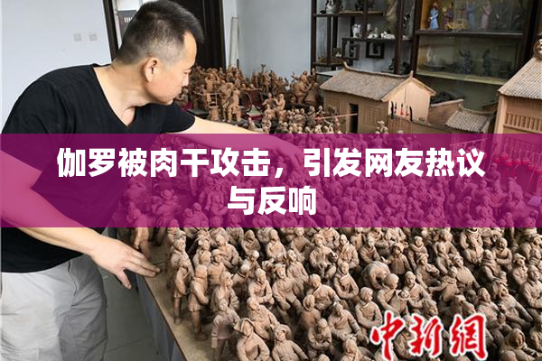 伽罗被肉干攻击，引发网友热议与反响