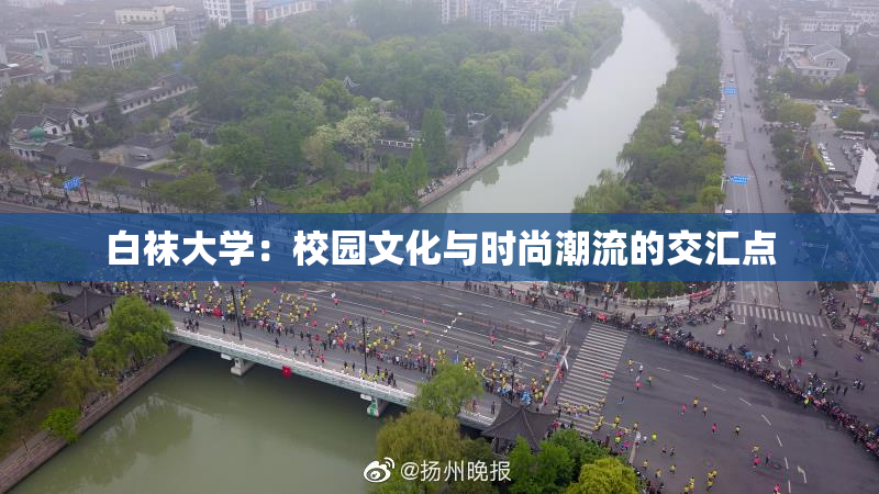 白袜大学：校园文化与时尚潮流的交汇点