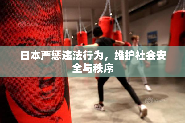 日本严惩违法行为，维护社会安全与秩序