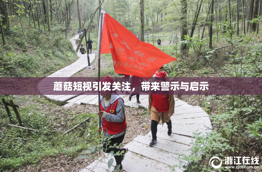 蘑菇短视引发关注，带来警示与启示