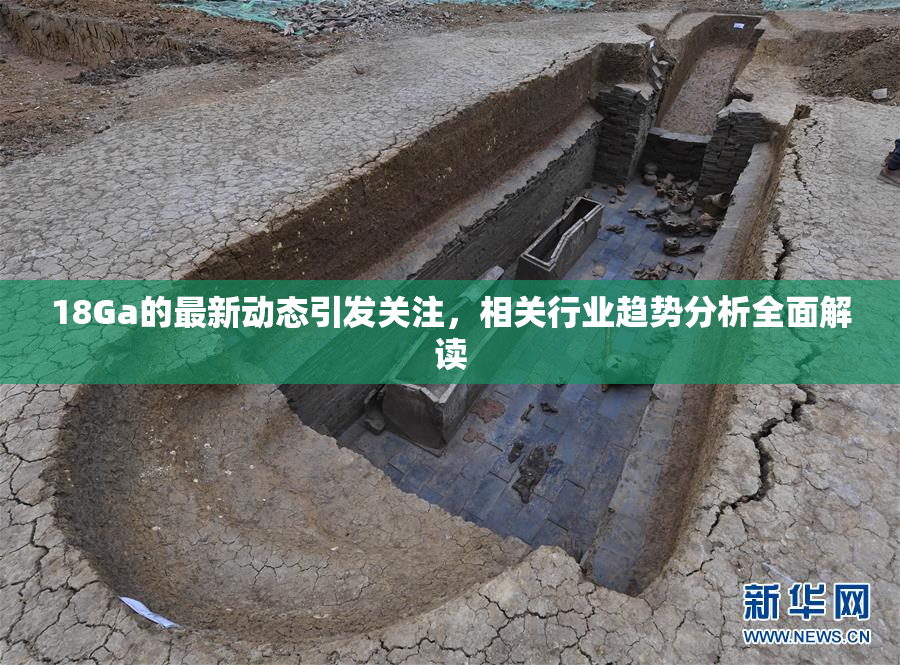 18Ga的最新动态引发关注，相关行业趋势分析全面解读
