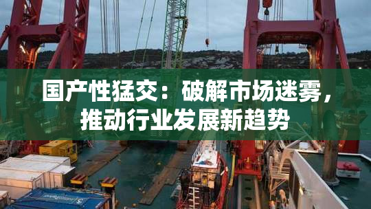国产性猛交：破解市场迷雾，推动行业发展新趋势