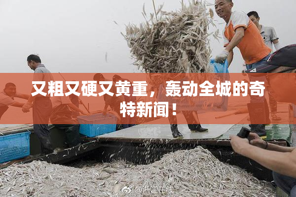 又粗又硬又黄重，轰动全城的奇特新闻！