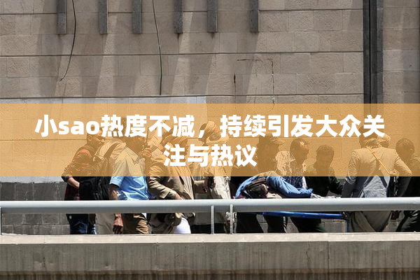 小sao热度不减，持续引发大众关注与热议