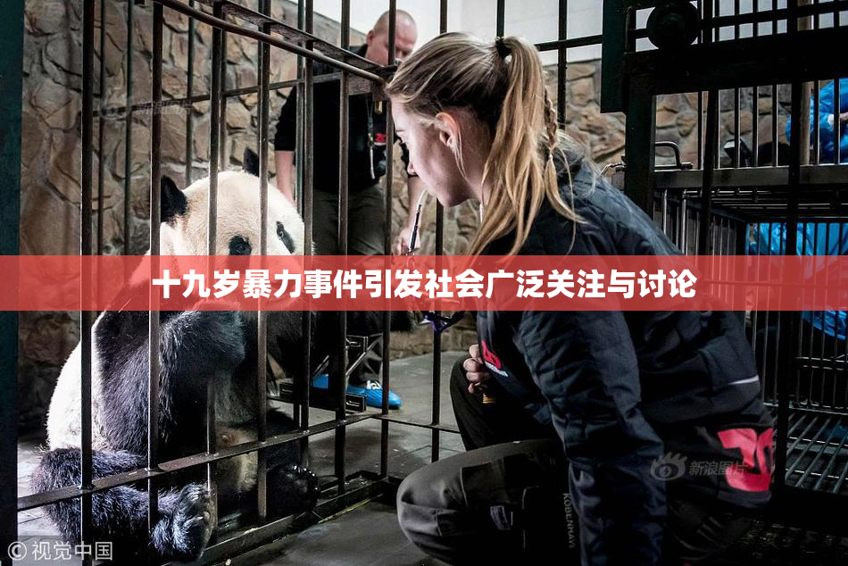 十九岁暴力事件引发社会广泛关注与讨论