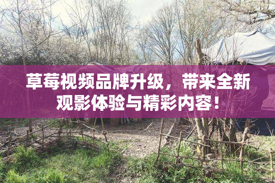 草莓视频品牌升级，带来全新观影体验与精彩内容！