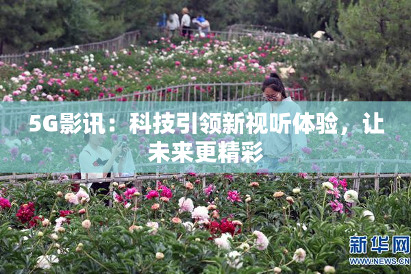 5G影讯：科技引领新视听体验，让未来更精彩