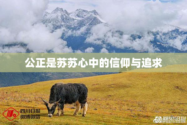 公正是苏苏心中的信仰与追求