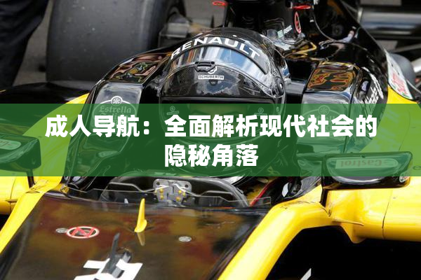 成人导航：全面解析现代社会的隐秘角落