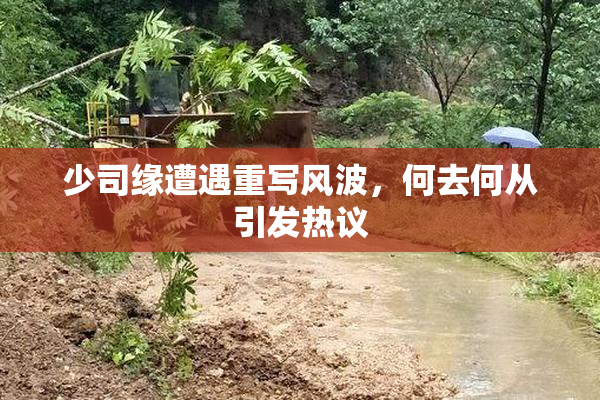 少司缘遭遇重写风波，何去何从引发热议