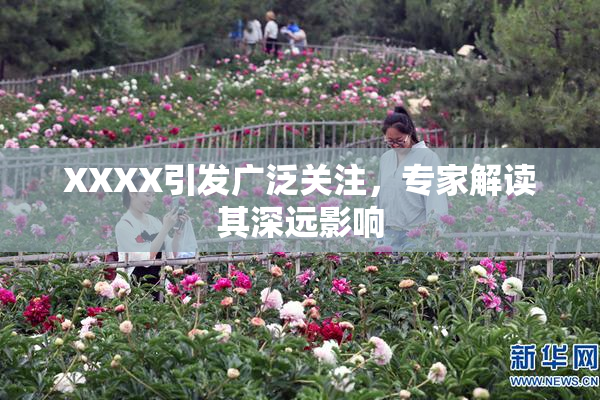 XXXX引发广泛关注，专家解读其深远影响