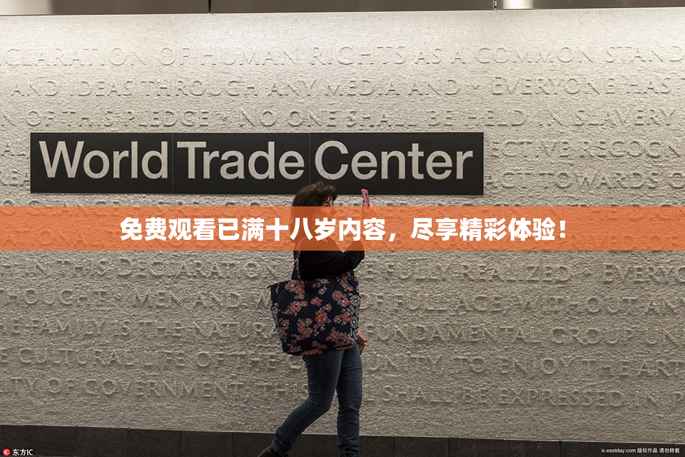 免费观看已满十八岁内容，尽享精彩体验！