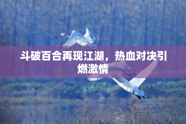 斗破百合再现江湖，热血对决引燃激情