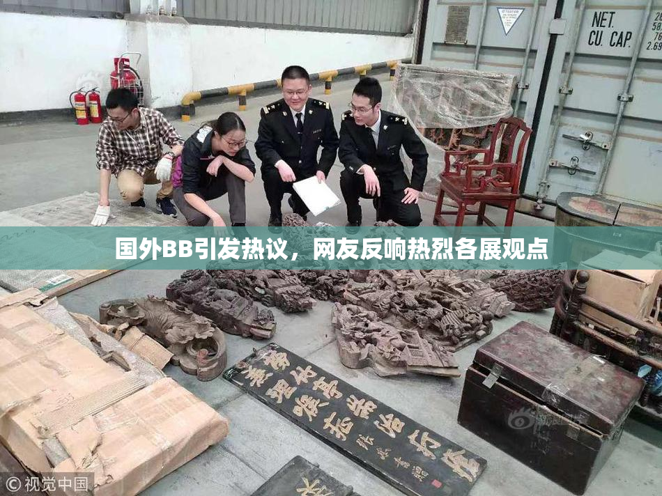 国外BB引发热议，网友反响热烈各展观点