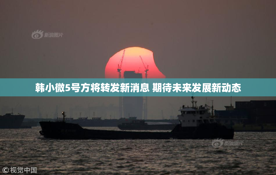 韩小微5号方将转发新消息 期待未来发展新动态