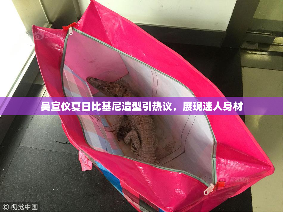 吴宣仪夏日比基尼造型引热议，展现迷人身材