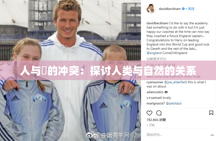 人与嘼的冲突：探讨人类与自然的关系
