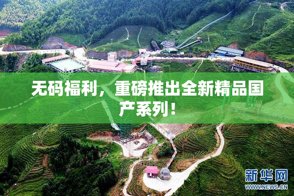 无码福利，重磅推出全新精品国产系列！