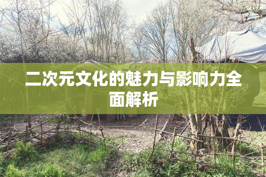 二次元文化的魅力与影响力全面解析