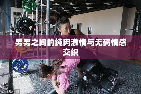 男男之间的纯肉激情与无码情感交织