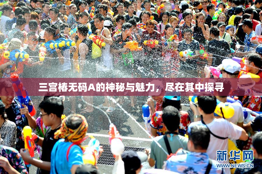 三宫椿无码A的神秘与魅力，尽在其中探寻