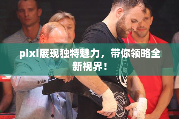 pixi展现独特魅力，带你领略全新视界！