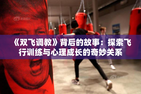 《双飞调教》背后的故事：探索飞行训练与心理成长的奇妙关系