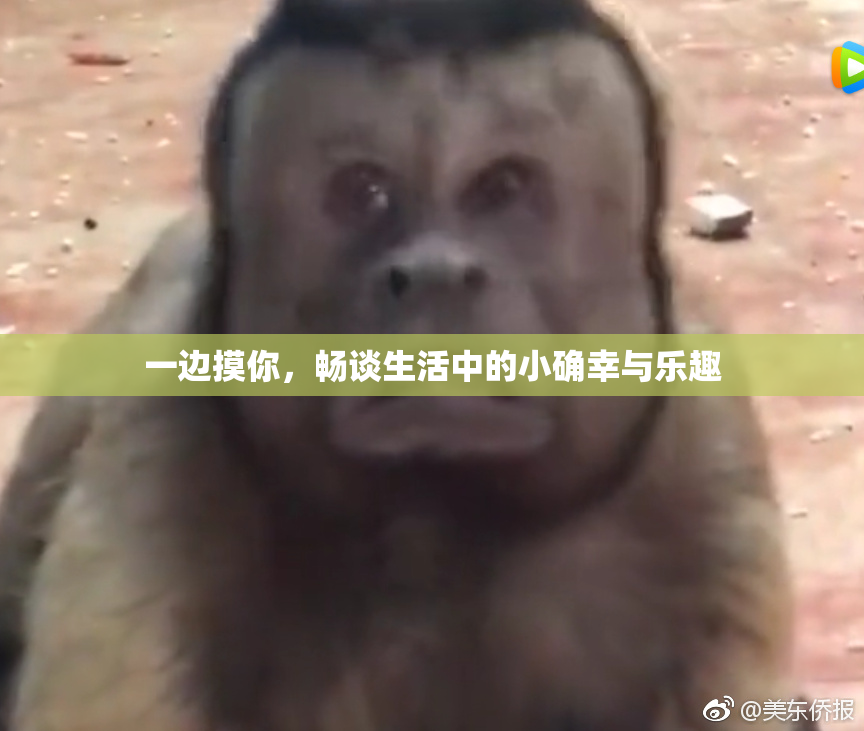 一边摸你，畅谈生活中的小确幸与乐趣