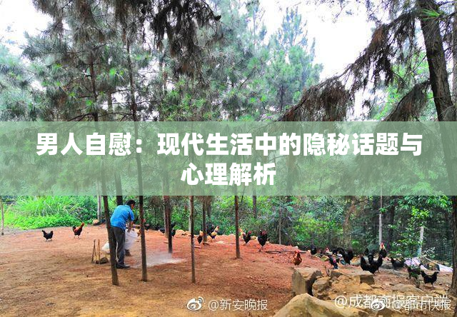 男人自慰：现代生活中的隐秘话题与心理解析