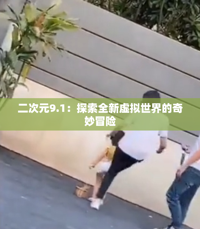 二次元9.1：探索全新虚拟世界的奇妙冒险