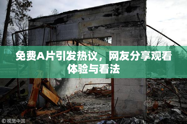 免费A片引发热议，网友分享观看体验与看法