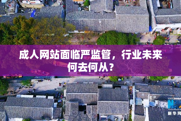 成人网站面临严监管，行业未来何去何从？