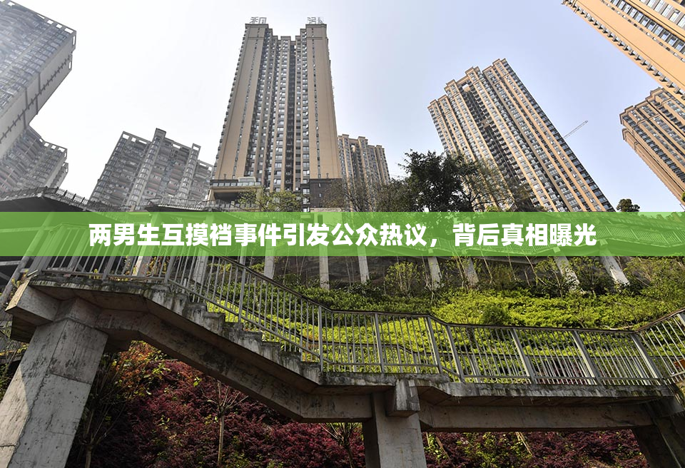 两男生互摸裆事件引发公众热议，背后真相曝光