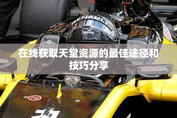 在线获取天堂资源的最佳途径和技巧分享