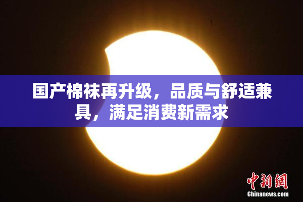 国产棉袜再升级，品质与舒适兼具，满足消费新需求