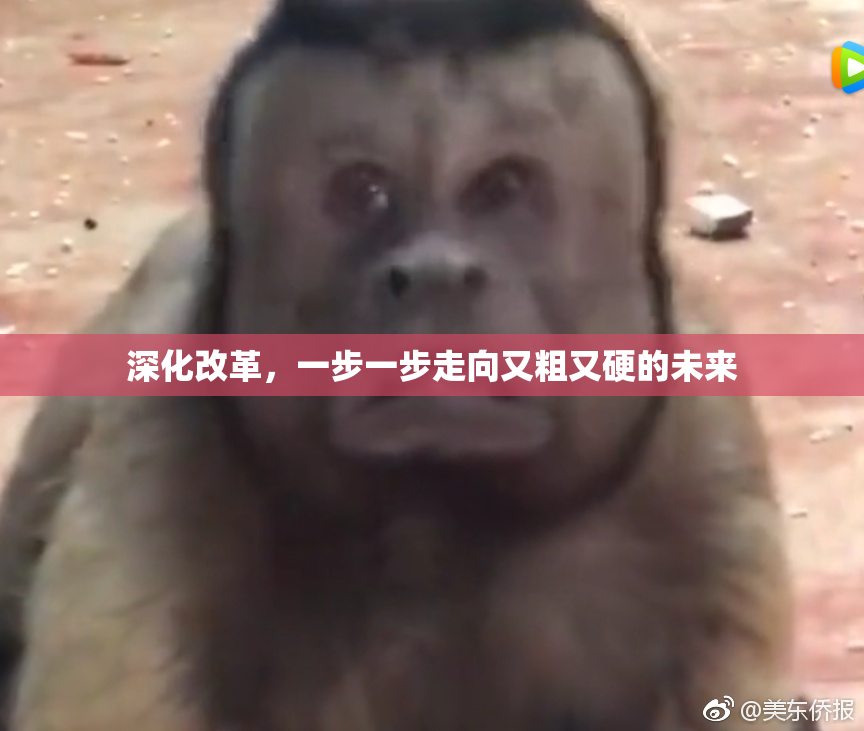 深化改革，一步一步走向又粗又硬的未来