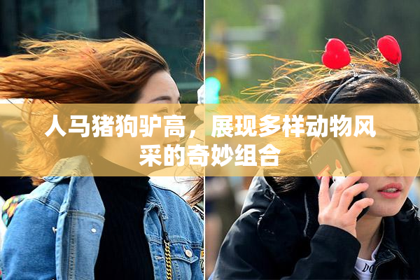 人马猪狗驴高，展现多样动物风采的奇妙组合