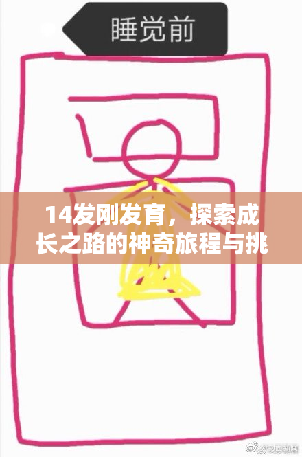 14发刚发育，探索成长之路的神奇旅程与挑战