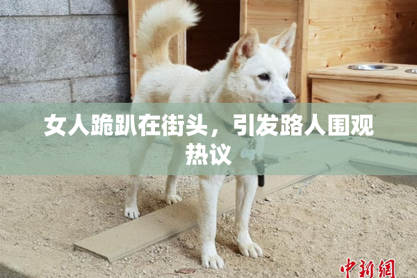 女人跪趴在街头，引发路人围观热议