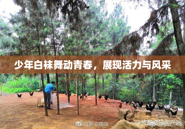 少年白袜舞动青春，展现活力与风采
