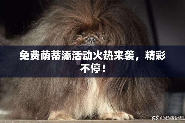 免费荫蒂添活动火热来袭，精彩不停！