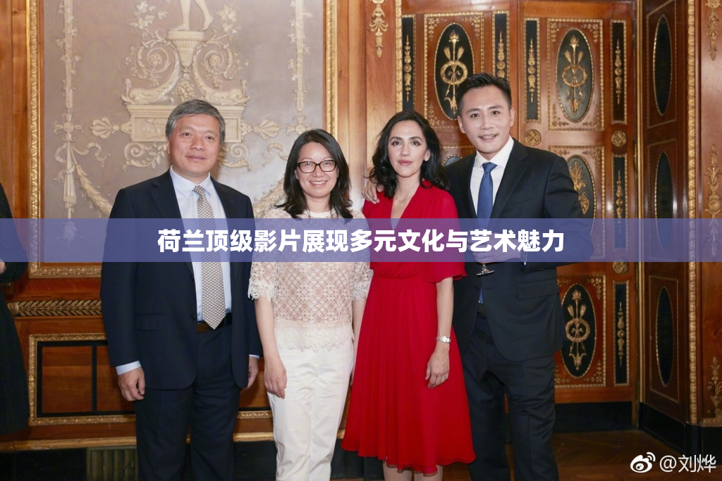 荷兰顶级影片展现多元文化与艺术魅力