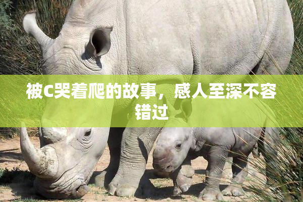 被C哭着爬的故事，感人至深不容错过