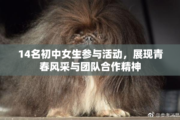 14名初中女生参与活动，展现青春风采与团队合作精神
