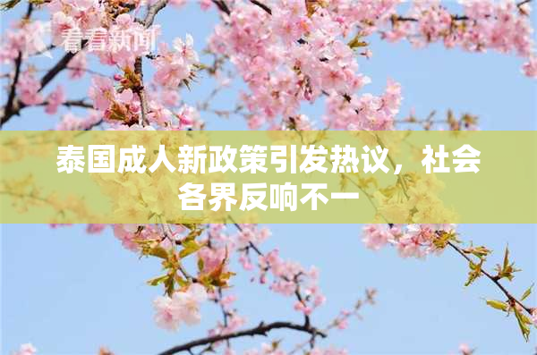 泰国成人新政策引发热议，社会各界反响不一