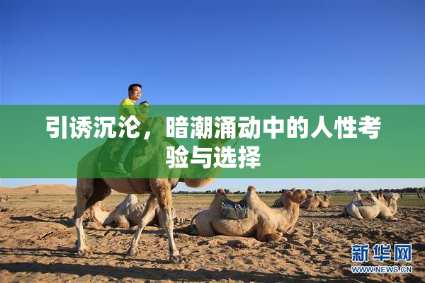 引诱沉沦，暗潮涌动中的人性考验与选择